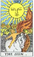 card14