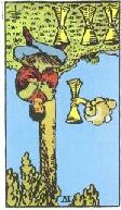 card12