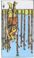 card8
